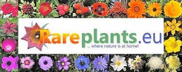 www.rareplants.eu - shop